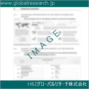 グローバルリサーチ調査資料のイメージ